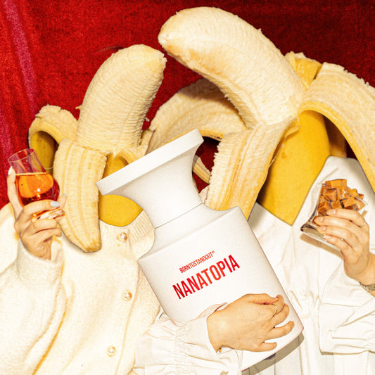 NANATOPIA - NACIDOPARARESALTAR