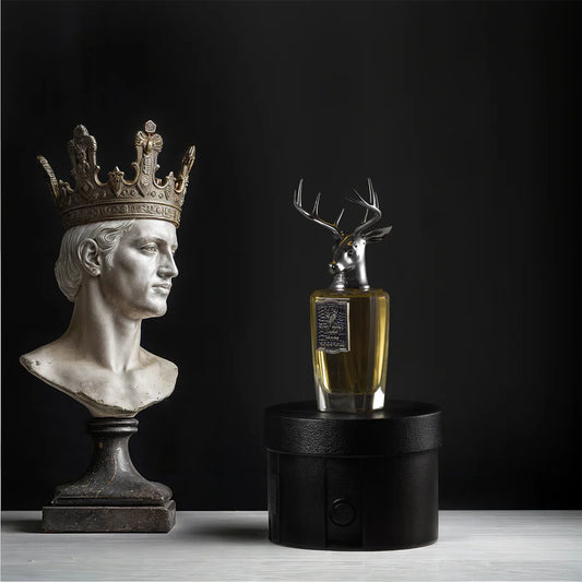 ORCHESTRA - PANADORA