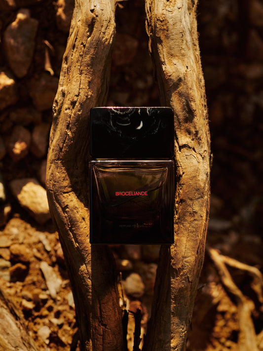 BROCELIANDE - SORADORA