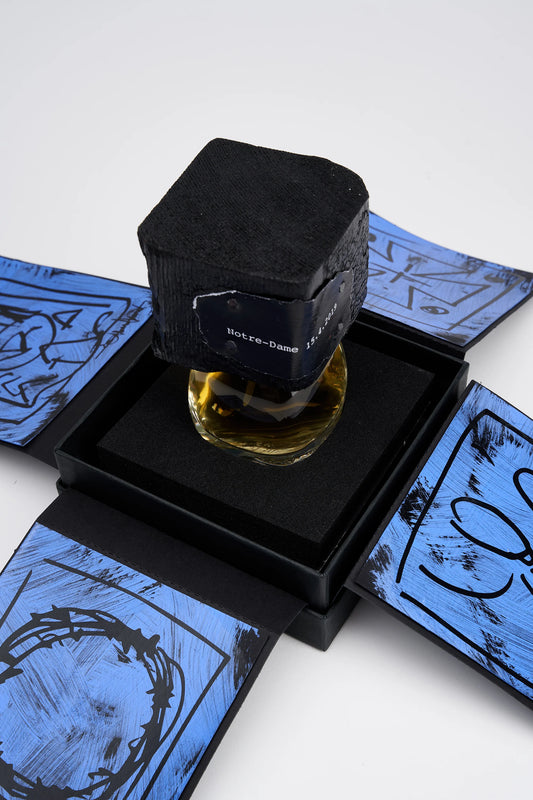 NOTRE DAME 15.4.2019 - FILIPPO SORCINELLI