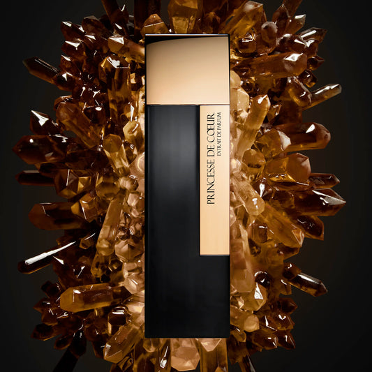 PRINCESA DE CORAZÓN - LAURENT MAZZONE