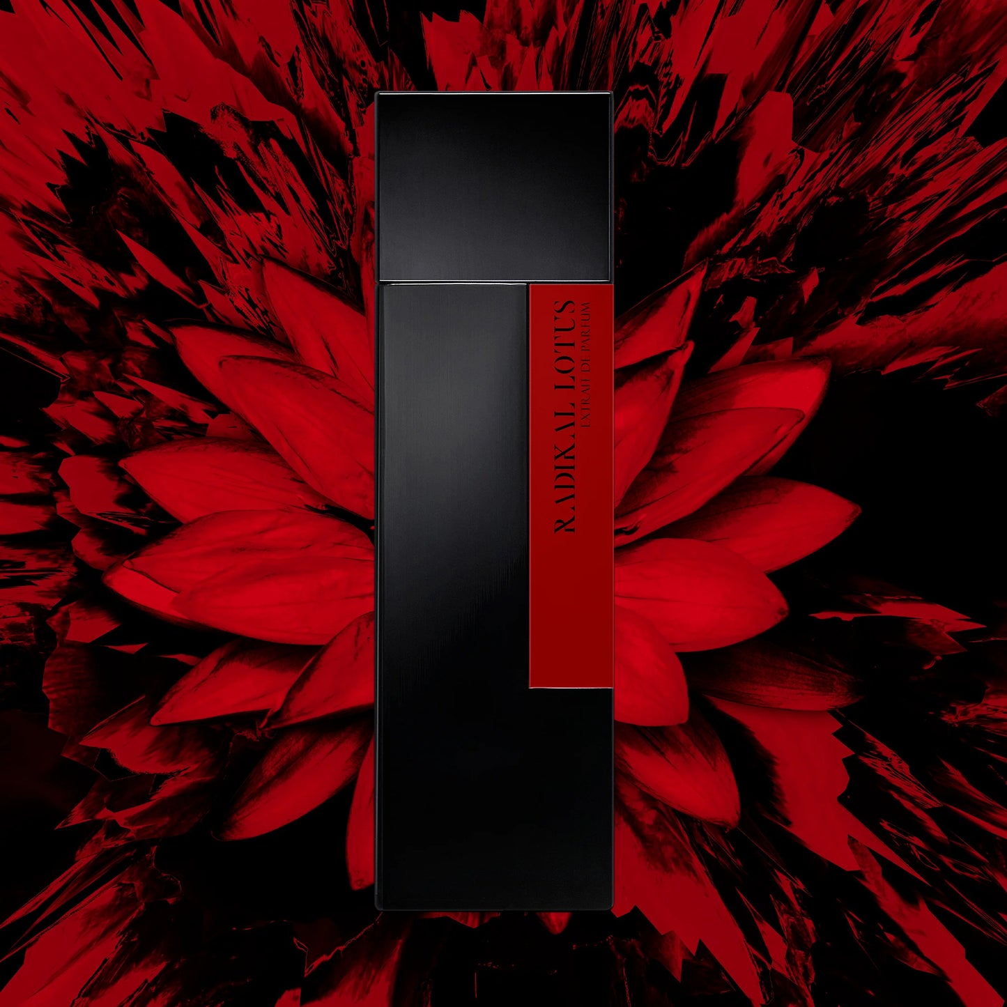 RADIKAL LOTUS - LAURENT MAZZONE