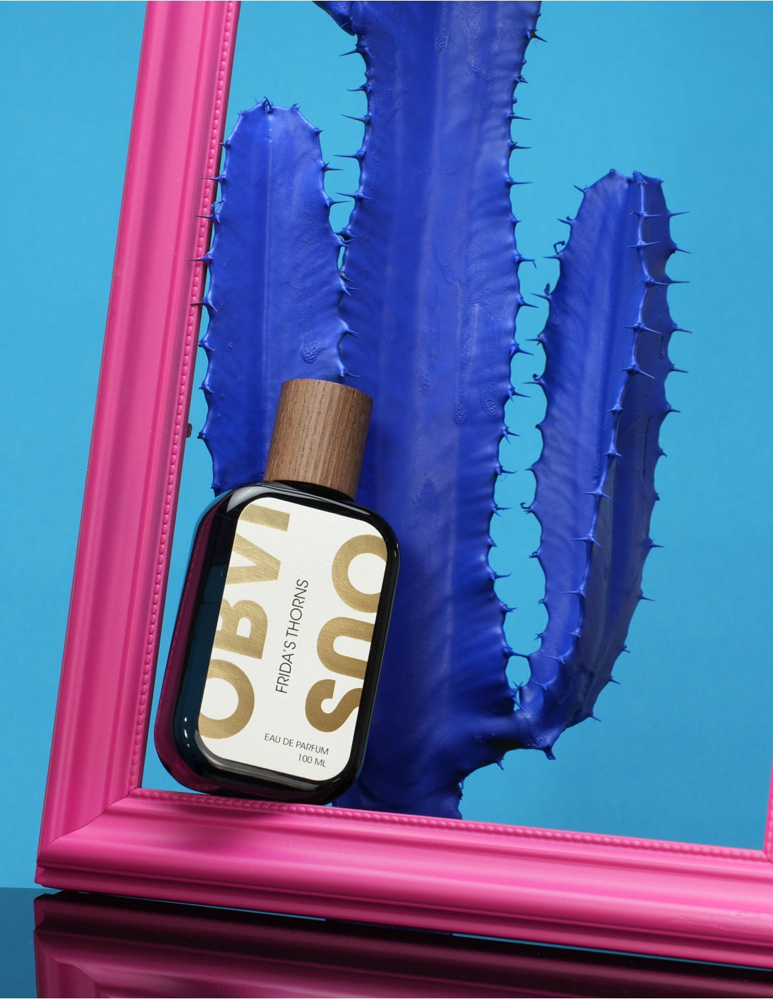 FRIDAS DORNFELDER - OFFENSICHTLICH