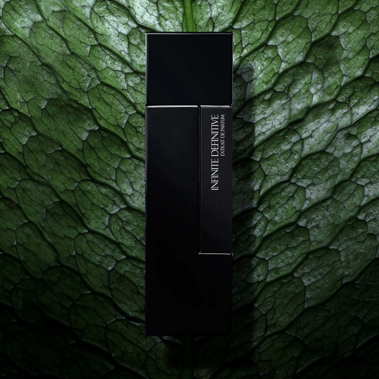 INFINITE DEFINITIVE - LAURENT MAZZONE