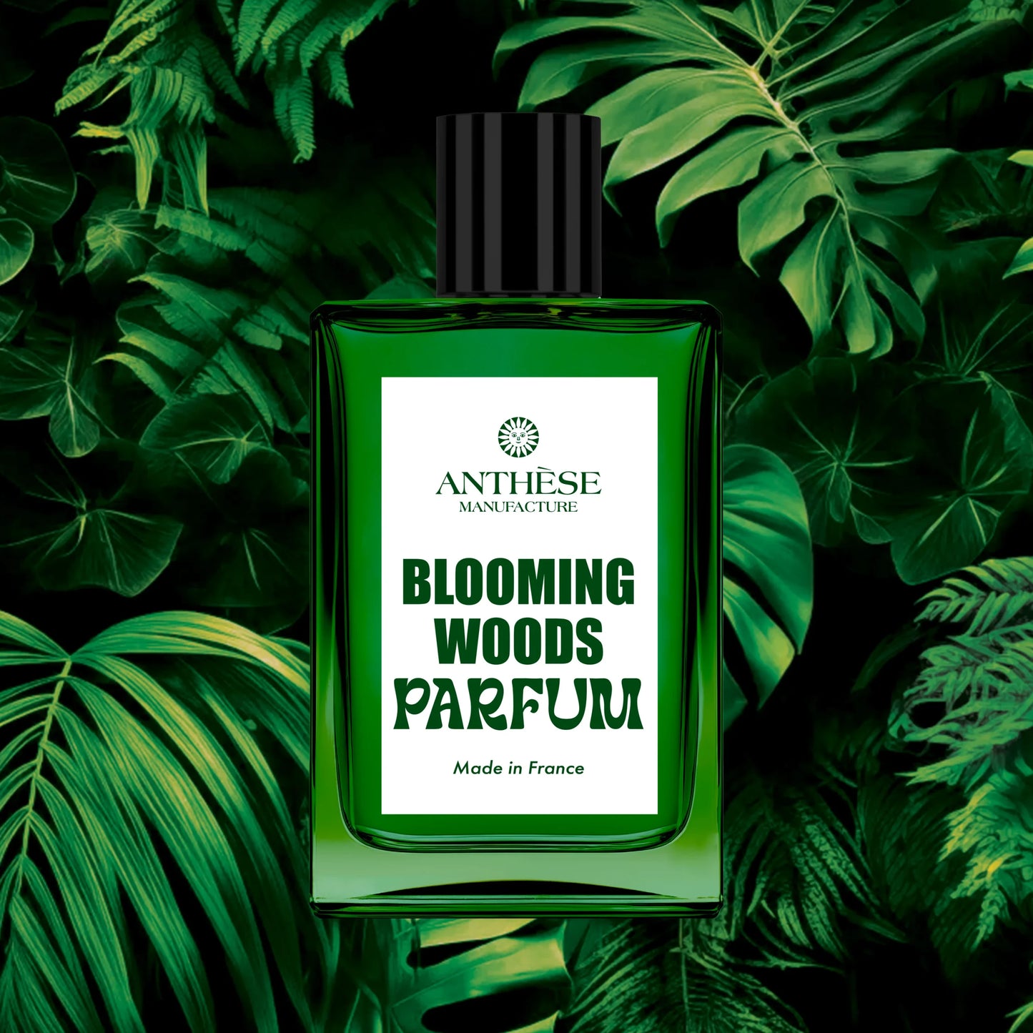 BLOOMING WOODS - ANTHÈSE MANUFACTURE