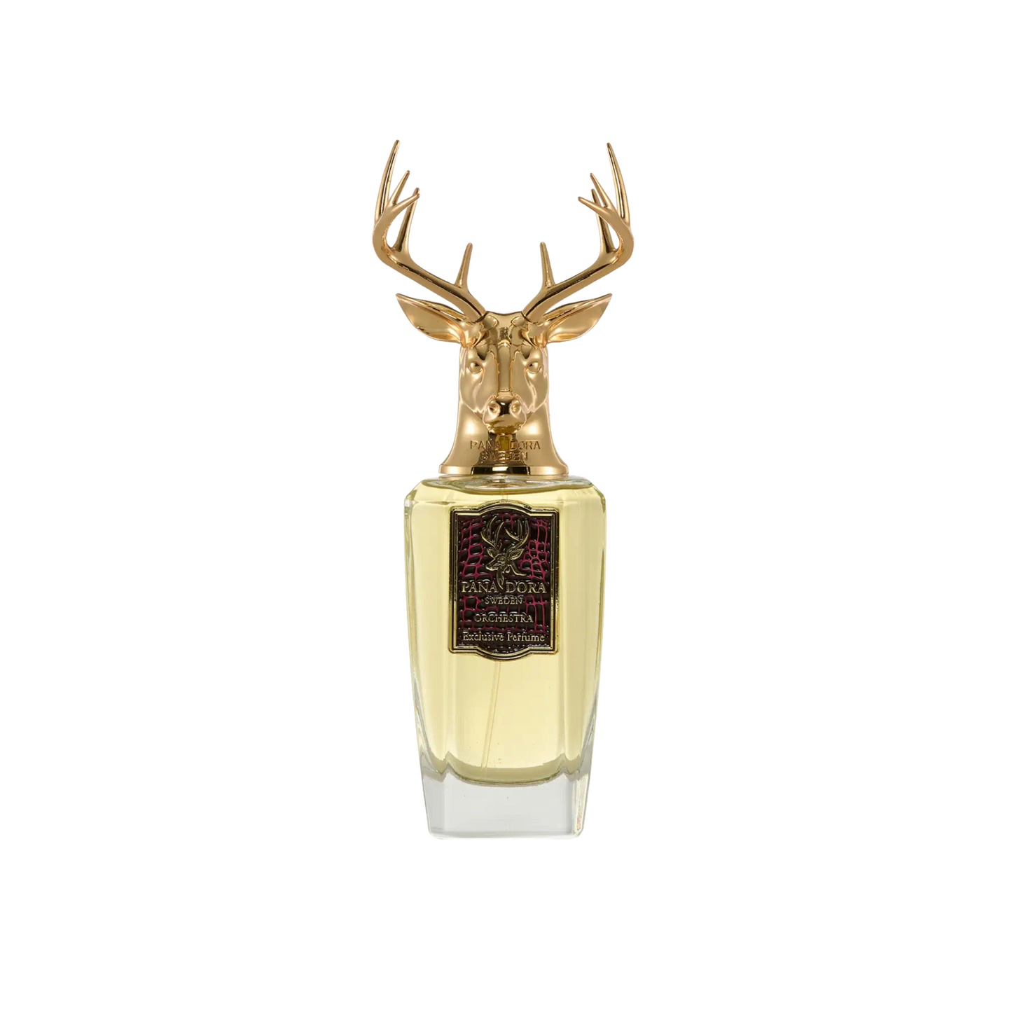 ORCHESTRA - PANADORA