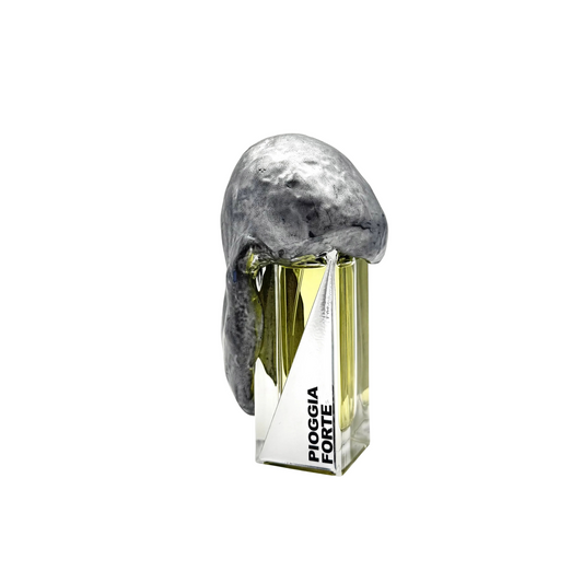 LLUVIA FUERTE - FILIPPO SORCINELLI