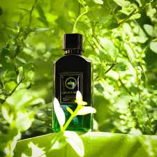 GREEN FOREST - AL AMBRA